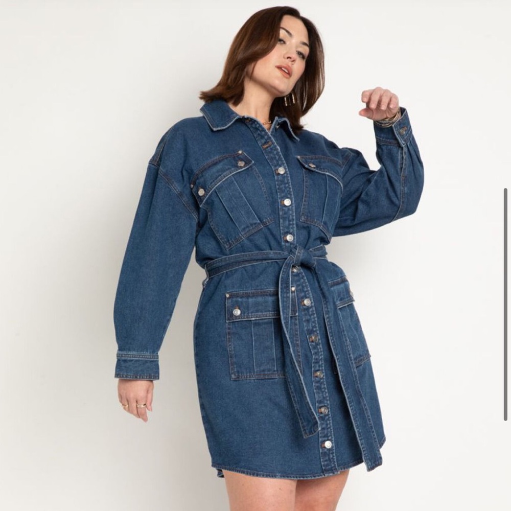 Eloquii Denim Dress
